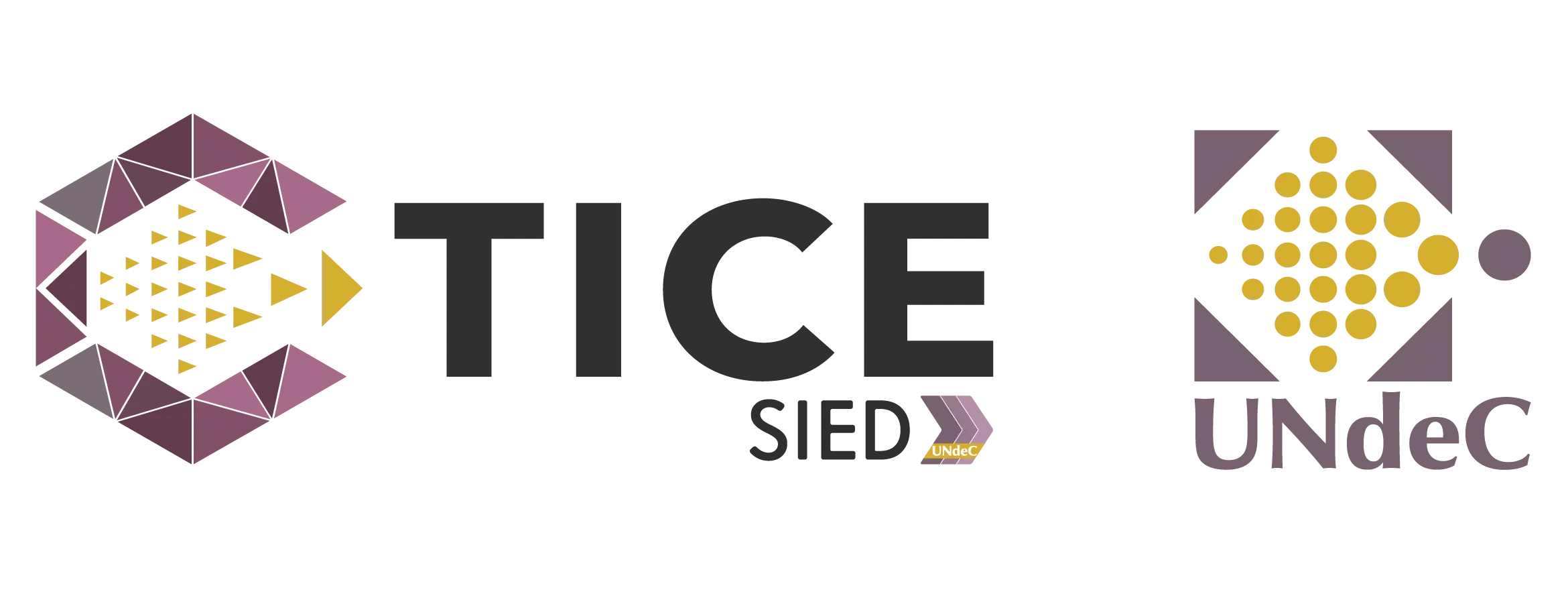 TICE UNdeC